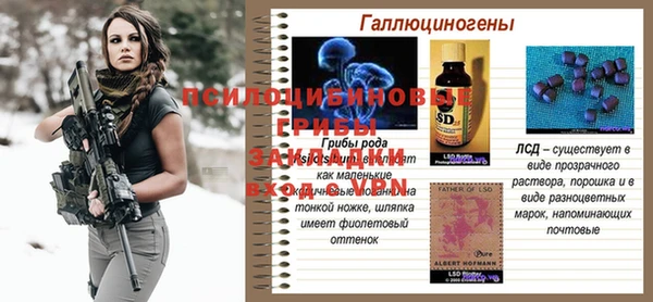 ГАЛЛЮЦИНОГЕННЫЕ ГРИБЫ Белокуриха