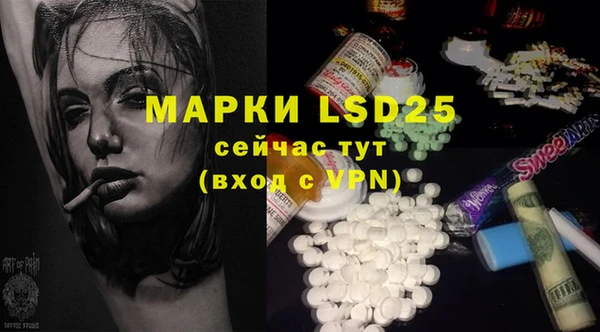 ГАЛЛЮЦИНОГЕННЫЕ ГРИБЫ Белокуриха