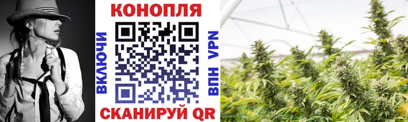 Марихуана VHQ  где купить наркоту  shop Telegram  Белокуриха 